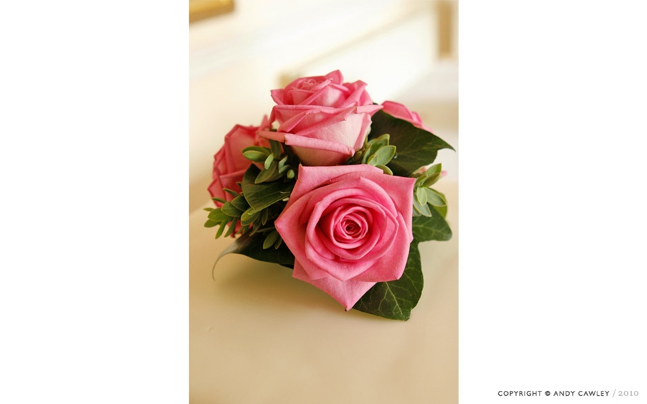 Recent Wedding Photography from Andy Cawley, Hertfordshire