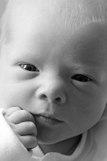 Recent Wedding Photography from Andy Cawley, Hertfordshire